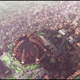 Illustration for article titled Sweet Mother Of Dragons, Get A Load Of Kings Landing Recreated In emMinecraft/em